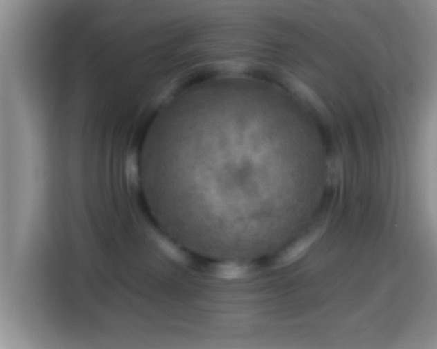 X0000113960238200910021532