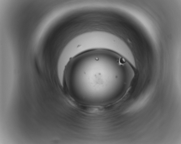 X0000113960239200910021532