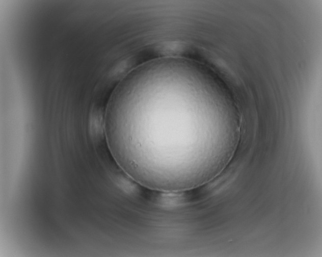 X0000113960240200910021532