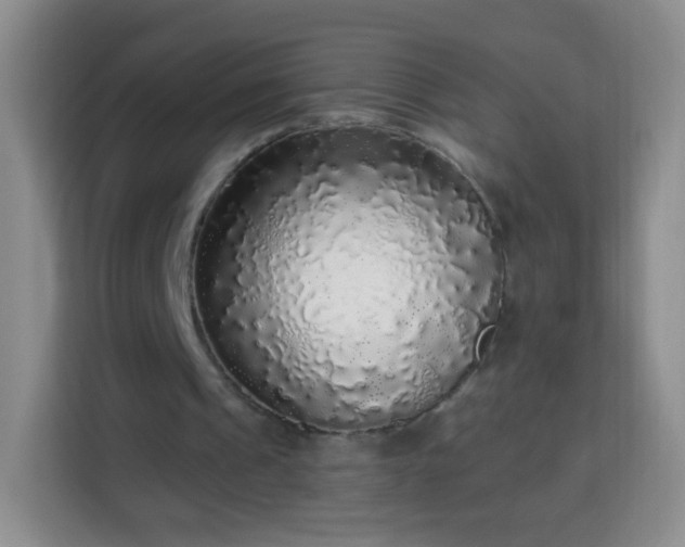 X0000113960241200910021531