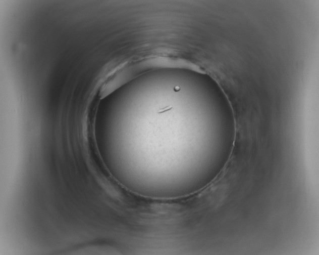 X0000113960242200910021531