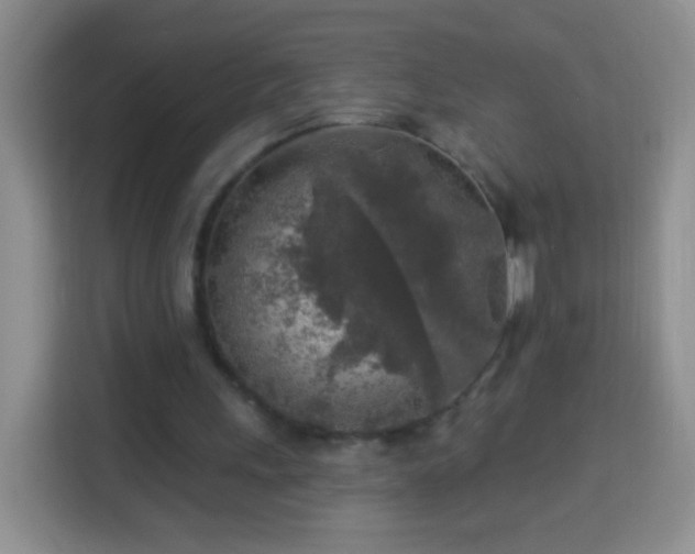 X0000113960243200910021531