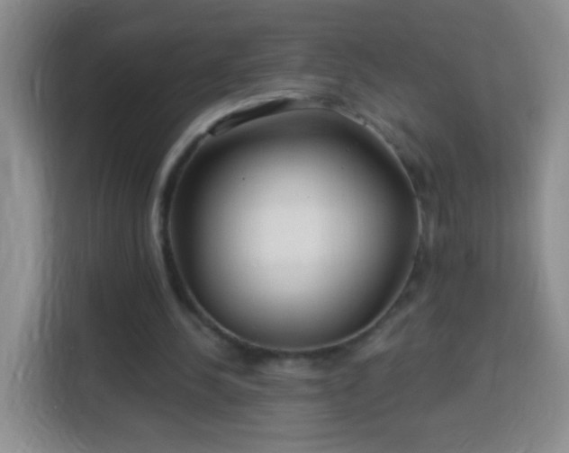 X0000113960244200910021531