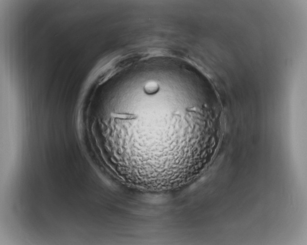 X0000113960245200910021531