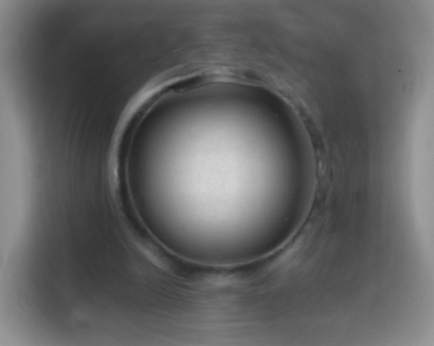 X0000113960246200910021531