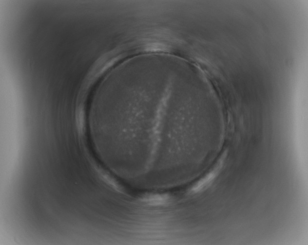 X0000113960247200910021531