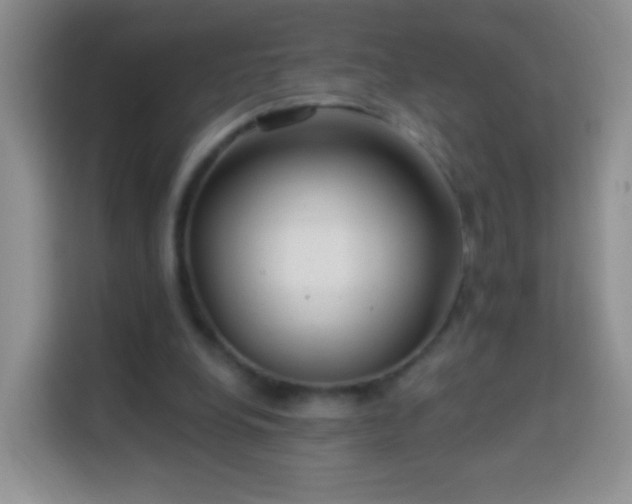 X0000113960248200910021531