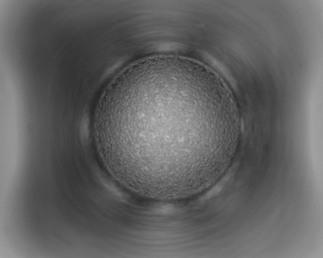 X0000113960249200910021531