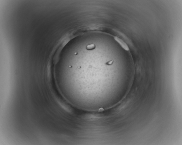 X0000113960250200910021531