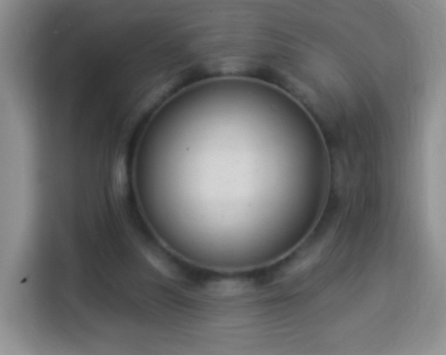 X0000113960251200910021531