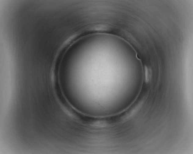 X0000113960252200910021531