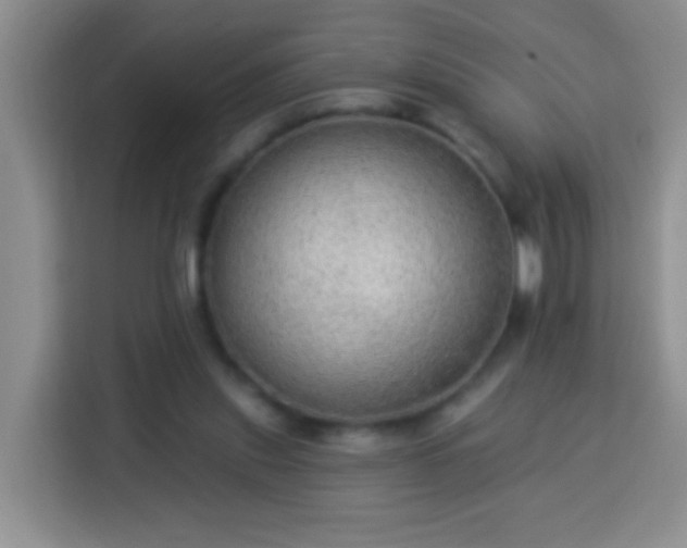 X0000113960253200910021531