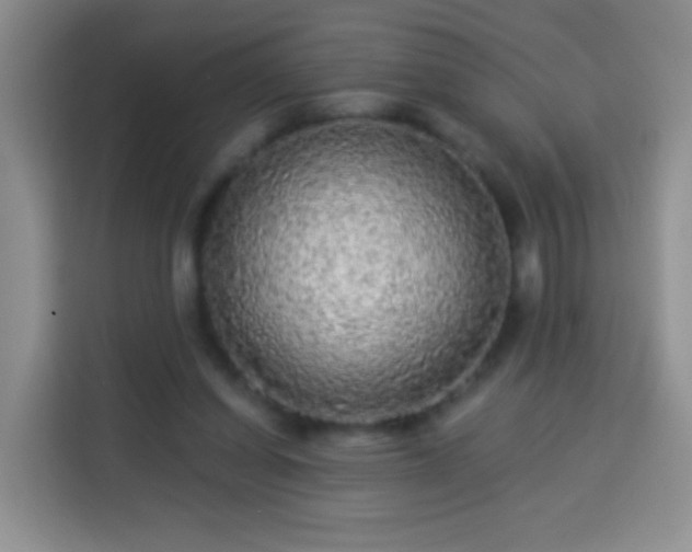 X0000113960254200910021531