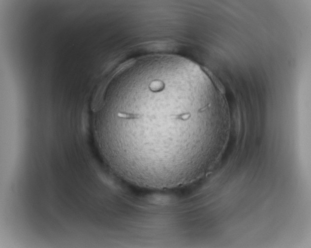 X0000113960255200910021531