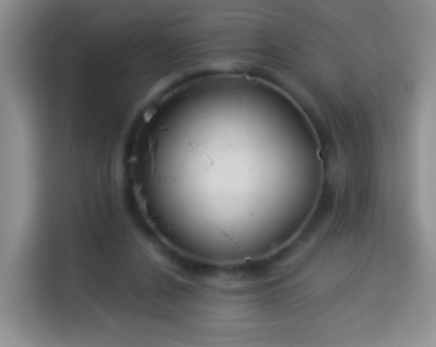 X0000113960256200910021531