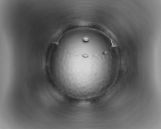 X0000113960257200910021531