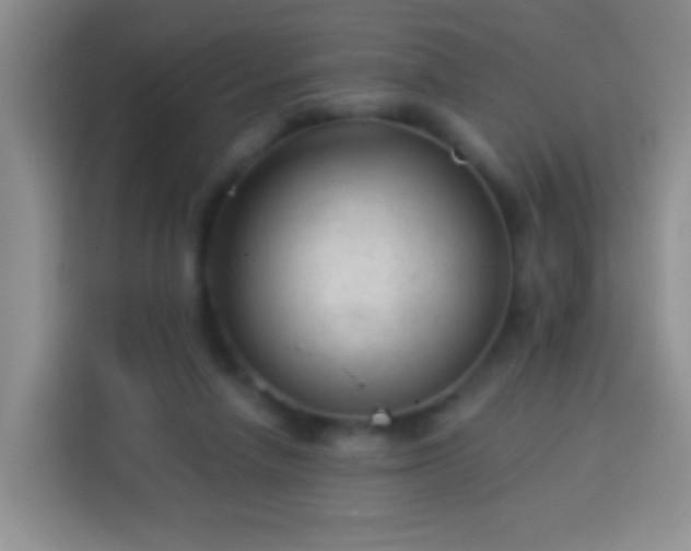 X0000113960258200910021531