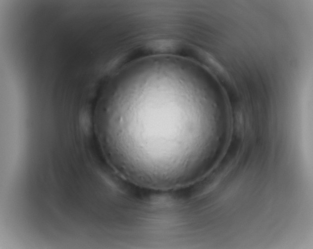 X0000113960259200910021531