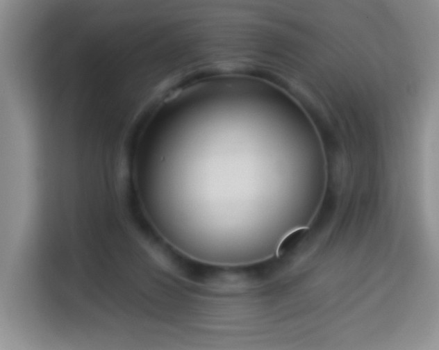 X0000113960260200910021531