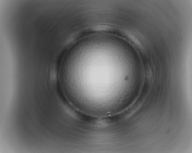 X0000113960261200910021531