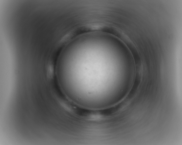 X0000113960262200910021531