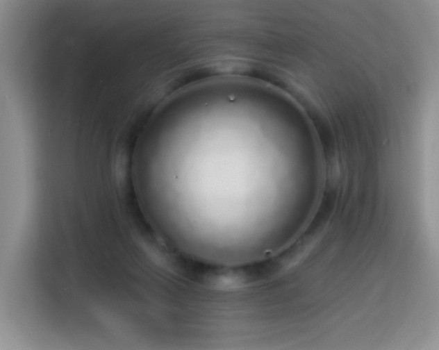 X0000113960263200910021531