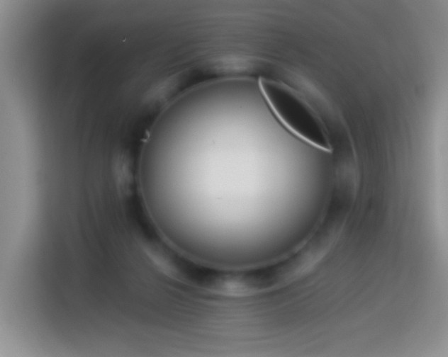 X0000113960264200910021531