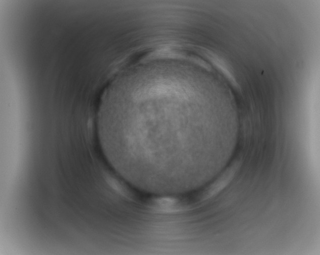 X0000113960265200910021531