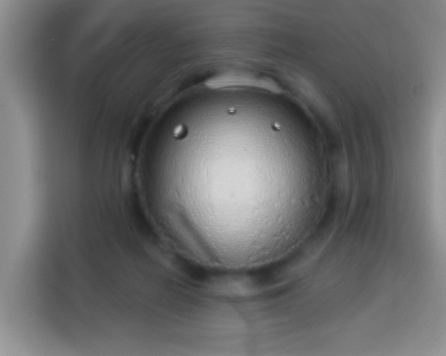 X0000113960266200910021531