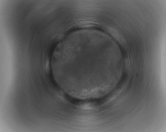 X0000113960267200910021532