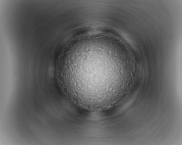 X0000113960269200910021532