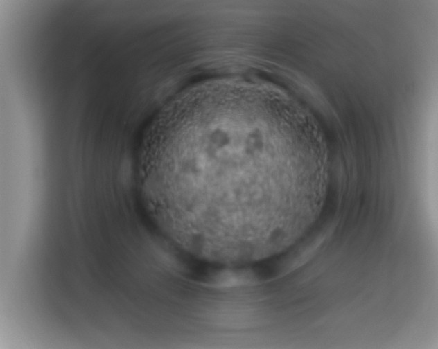 X0000113960270200910021532