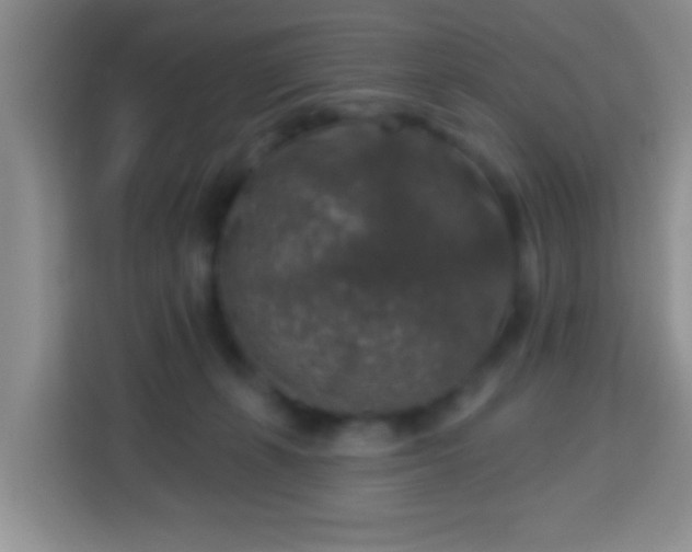 X0000113960271200910021532