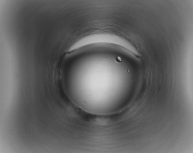 X0000113960272200910021532