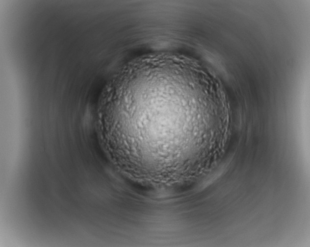 X0000113960273200910021532