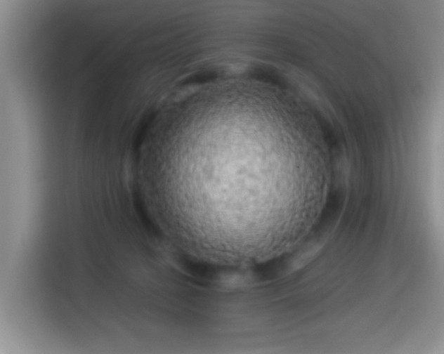 X0000113960274200910021532