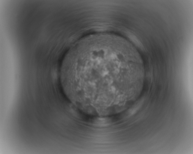 X0000113960277200910021532