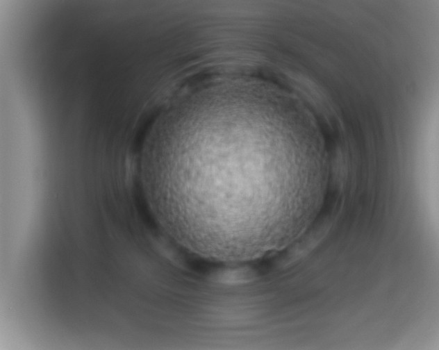 X0000113960278200910021532