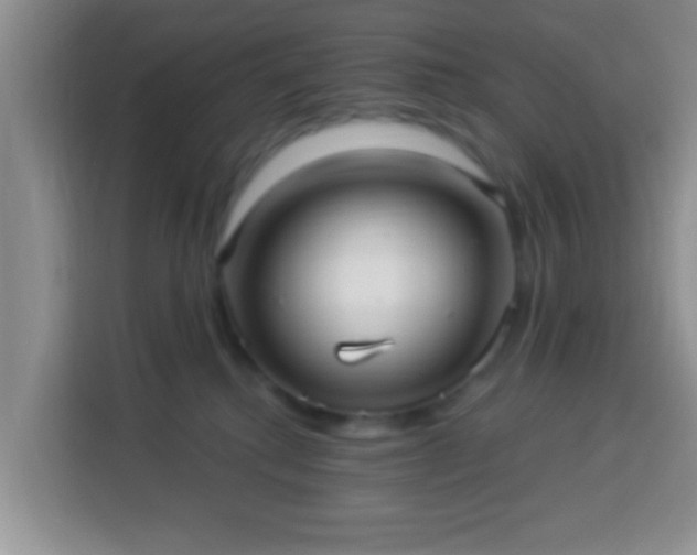 X0000113960280200910021532