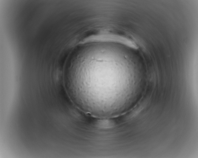 X0000113960281200910021532