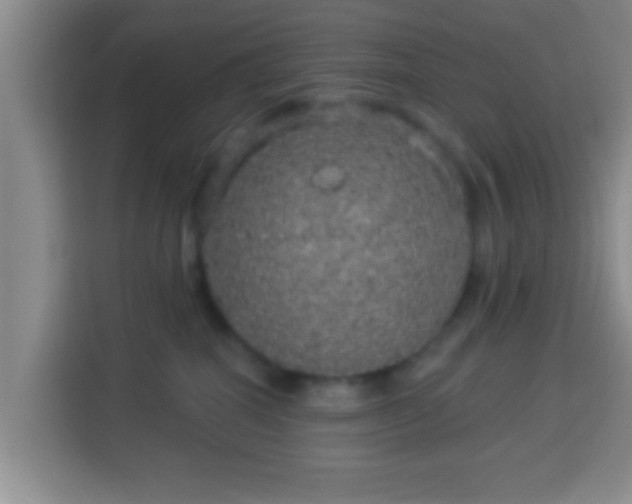 X0000113960282200910021532