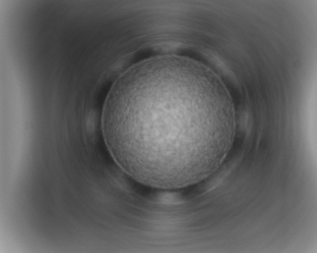 X0000113960283200910021532