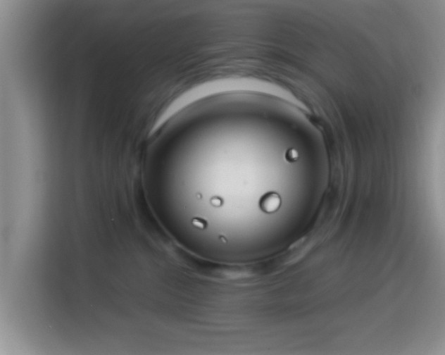 X0000113960284200910021532