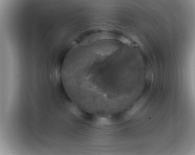 X0000113960285200910021532