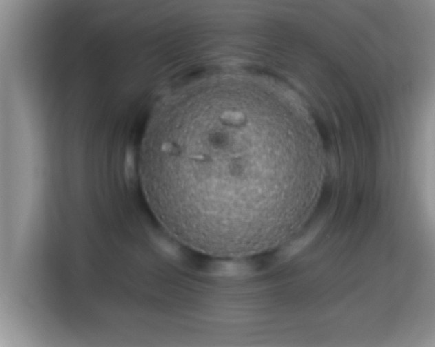 X0000113960286200910021532