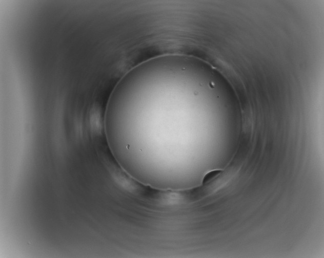 X0000113960287200910021532