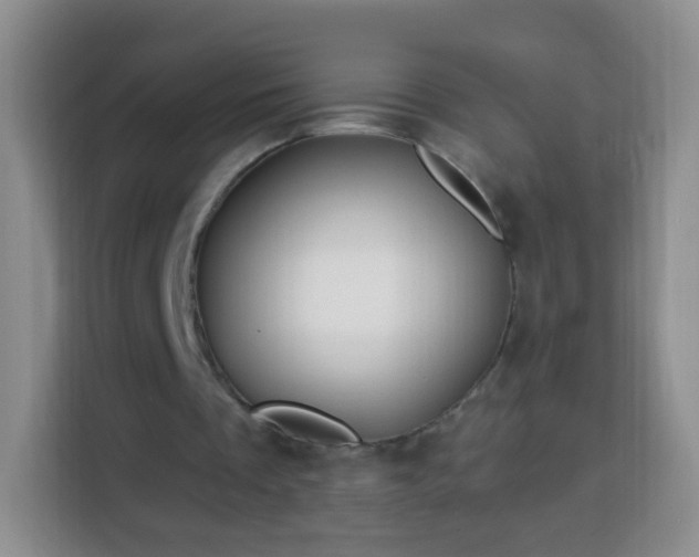 X0000113960289200910021531