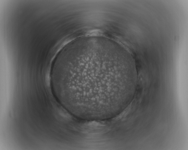 X0000113960290200910021531