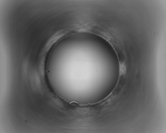 X0000113960291200910021531