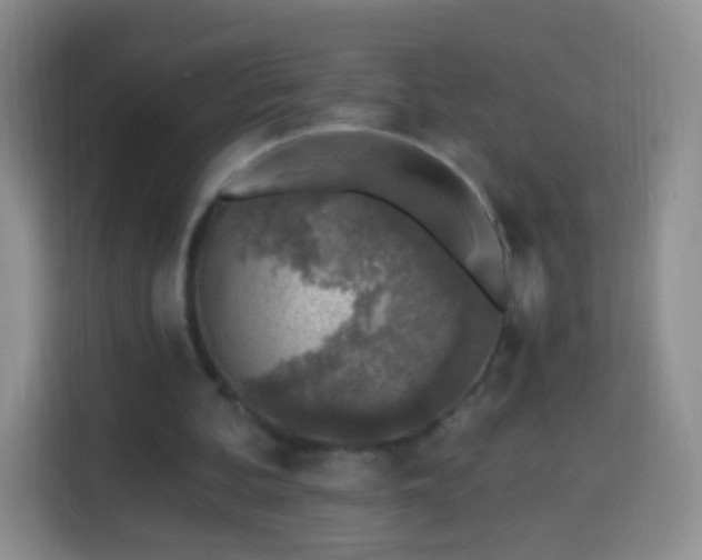 X0000113960292200910021531